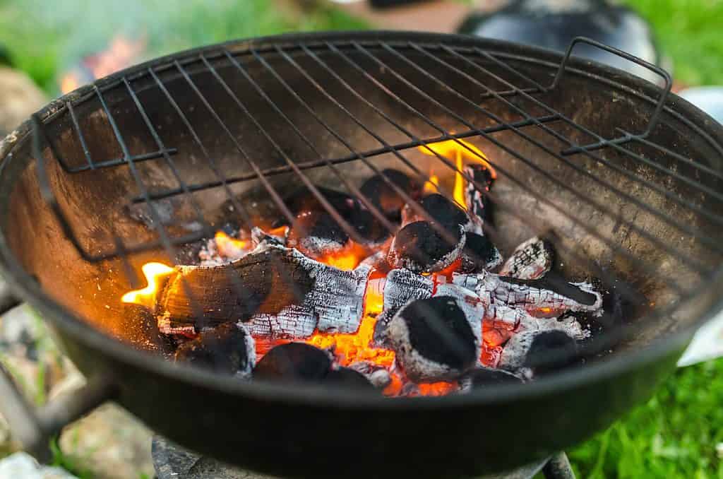 Mikä on paras grilli? Lue lisää ja löydä itsellesi paras grilli tulevalle grillikaudelle.